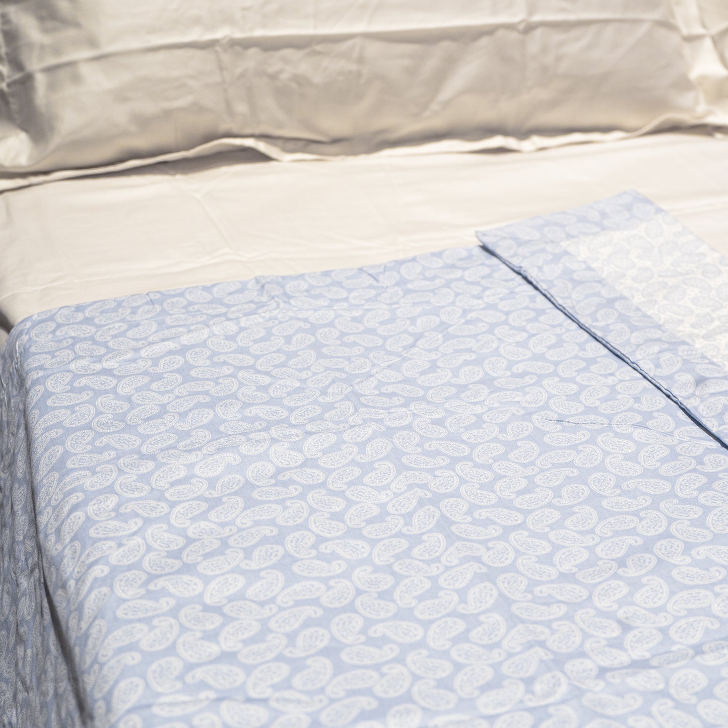 Enera Prism Collection Ethnic Water Blue Color Printed Double Bed Dohar
