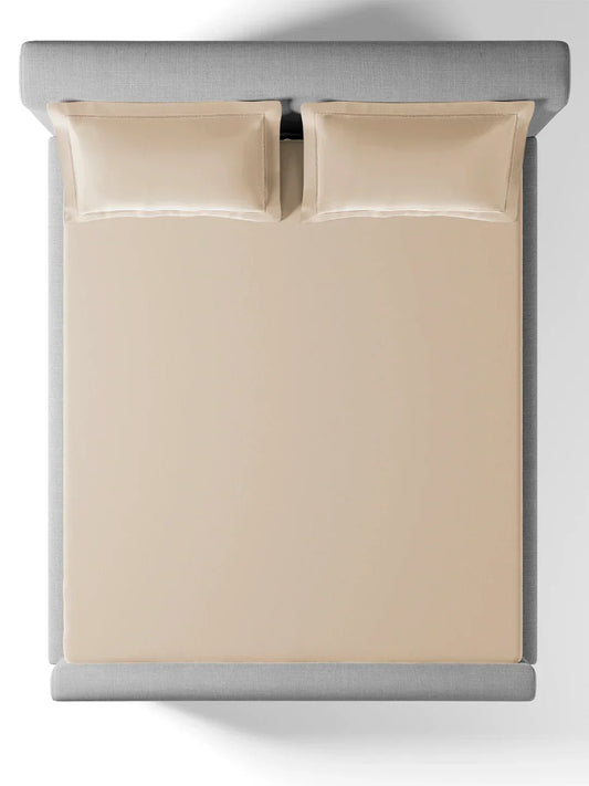 Sansaar King Bedsheet with 2 Pillow Covers 100% Pure Cotton - enera