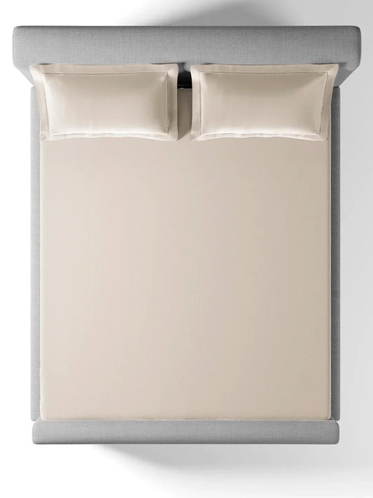 Sansaar King Bedsheet with 2 Pillow Covers 100% Pure Cotton - enera