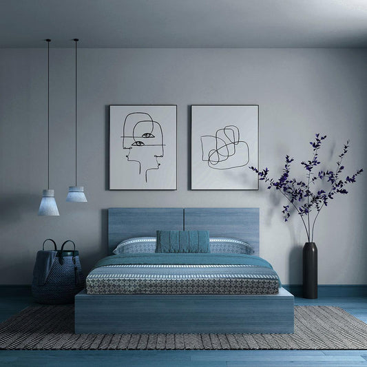 ador Printed King Bedsheet with 2 Pillow Covers 100% Pure Cotton - enera