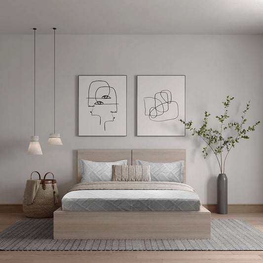 ador Printed King Bedsheet with 2 Pillow Covers 100% Pure Cotton - enera