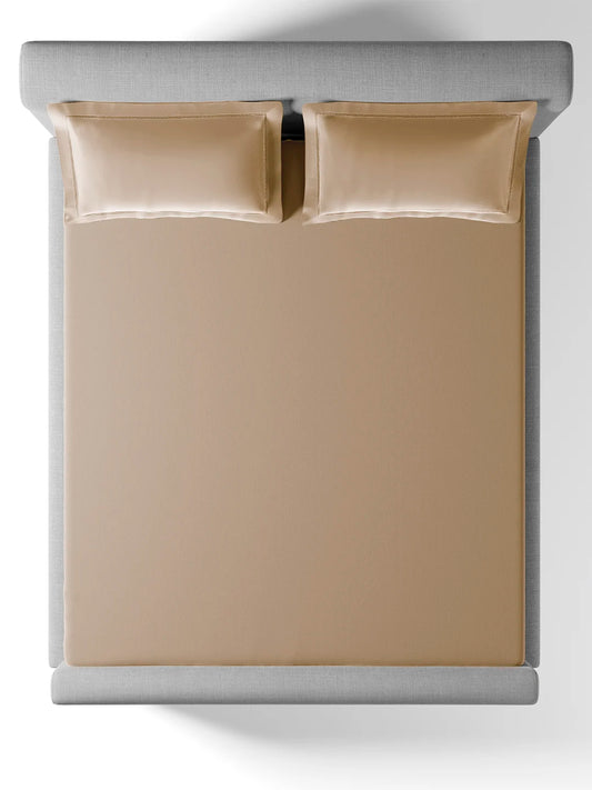 Bask Coffee 100% Cotton King Size Bedsheet Set with 2 Pillow Covers