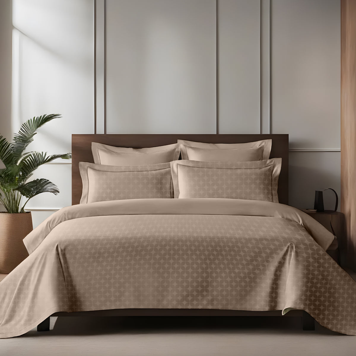 enera King Bedsheet with 2 Pillow Covers 100% Pure Cotton