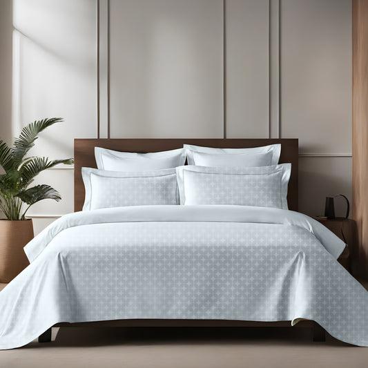 enera King Bedsheet with 2 Pillow Covers 100% Pure Cotton