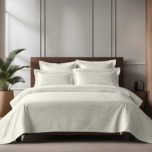 enera King Bedsheet with 2 Pillow Covers 100% Pure Cotton