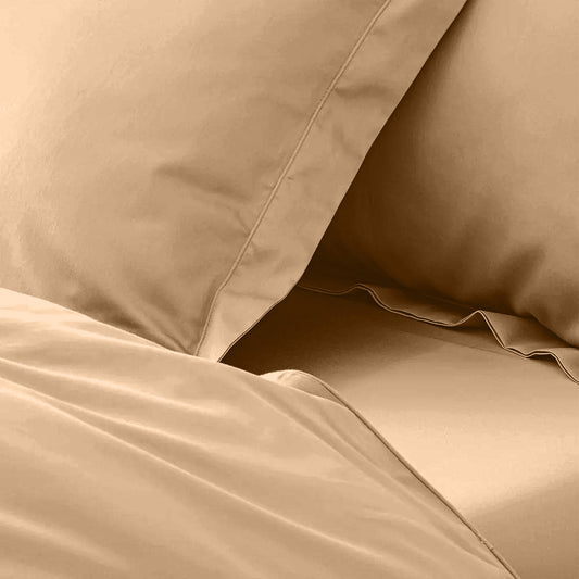 enera King Bedsheet with 2 Pillow Covers 100% Pure Cotton