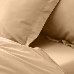enera King Bedsheet with 2 Pillow Covers 100% Pure Cotton