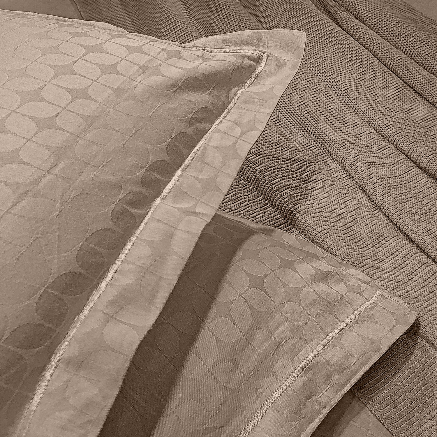 enera King Bedsheet with 2 Pillow Covers 100% Pure Cotton
