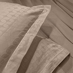 enera King Bedsheet with 2 Pillow Covers 100% Pure Cotton