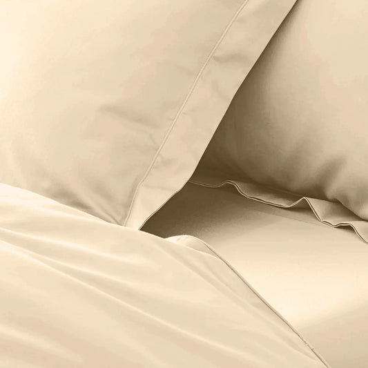 enera King Bedsheet with 2 Pillow Covers 100% Pure Cotton