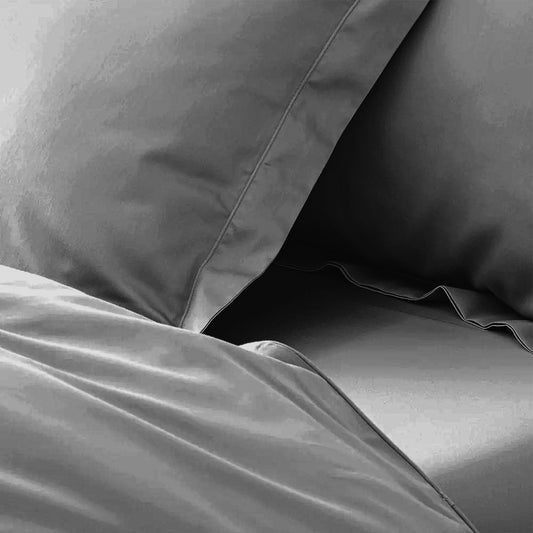 enera King Bedsheet with 2 Pillow Covers 100% Pure Cotton
