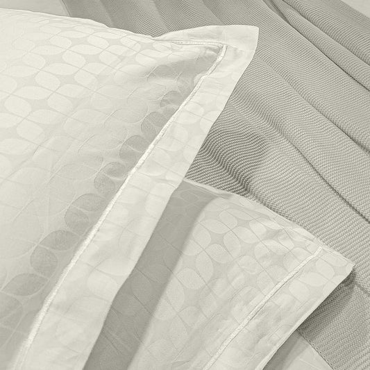 enera King Bedsheet with 2 Pillow Covers 100% Pure Cotton