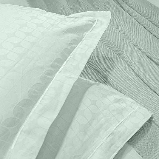 enera King Bedsheet with 2 Pillow Covers 100% Pure Cotton