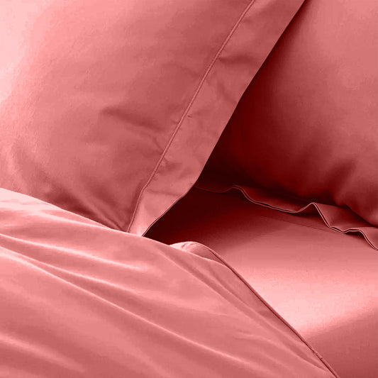 enera King Bedsheet with 2 Pillow Covers 100% Pure Cotton