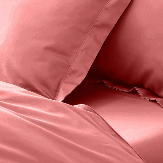 enera King Bedsheet with 2 Pillow Covers 100% Pure Cotton