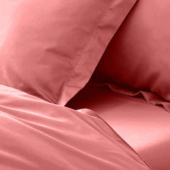 enera King Bedsheet with 2 Pillow Covers 100% Pure Cotton