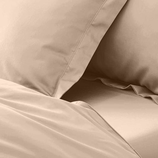 enera King Bedsheet with 2 Pillow Covers 100% Pure Cotton