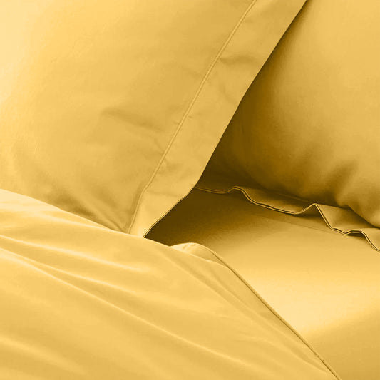 enera King Bedsheet with 2 Pillow Covers 100% Pure Cotton