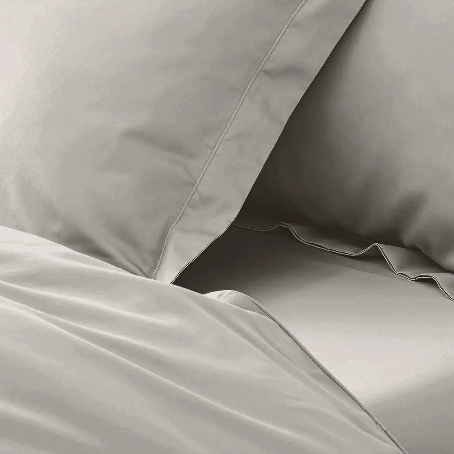 enera King Bedsheet with 2 Pillow Covers 100% Pure Cotton