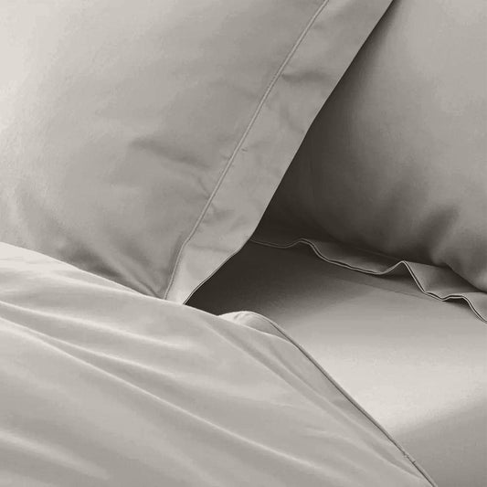 enera King Bedsheet with 2 Pillow Covers 100% Pure Cotton