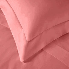 enera King Bedsheet with 2 Pillow Covers 100% Pure Cotton