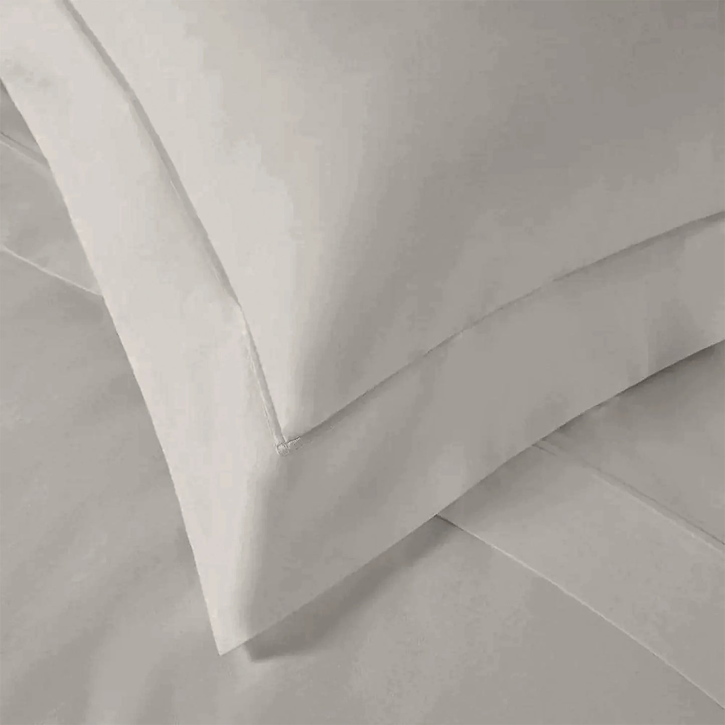 enera King Bedsheet with 2 Pillow Covers 100% Pure Cotton