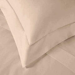 enera King Bedsheet with 2 Pillow Covers 100% Pure Cotton