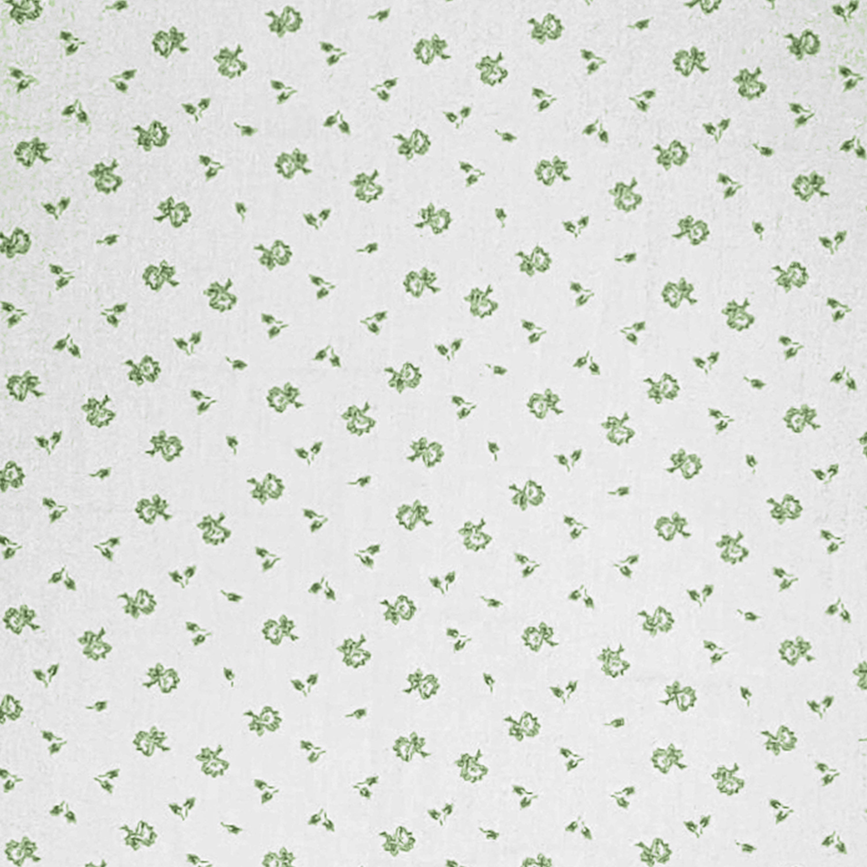 enera Printed Dohar 100% Pure Cotton, Summer Blanket for AC Rooms - Set of 2 - enera