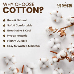 enera King Bedsheet with 2 Pillow Covers 100% Pure Cotton