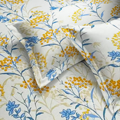 enera Printed King Bedsheet with 2 Pillow Covers 100% Pure Cotton