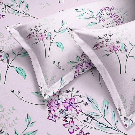 enera Printed King Bedsheet with 2 Pillow Covers 100% Pure Cotton