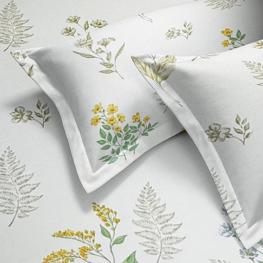 enera Printed King Bedsheet with 2 Pillow Covers 100% Pure Cotton