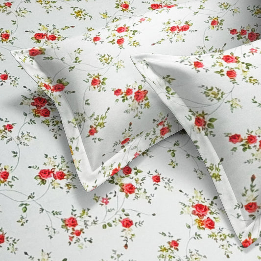 enera Printed King Bedsheet with 2 Pillow Covers 100% Pure Cotton
