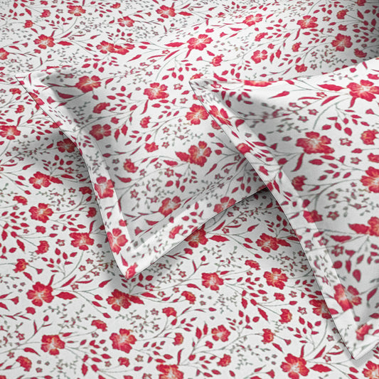 enera Printed King Bedsheet with 2 Pillow Covers 100% Pure Cotton