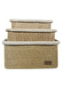 Obsessions Sophia Laundry Baskets Beige Color M Size 1508 38(L) x 28(W) x 18(H)