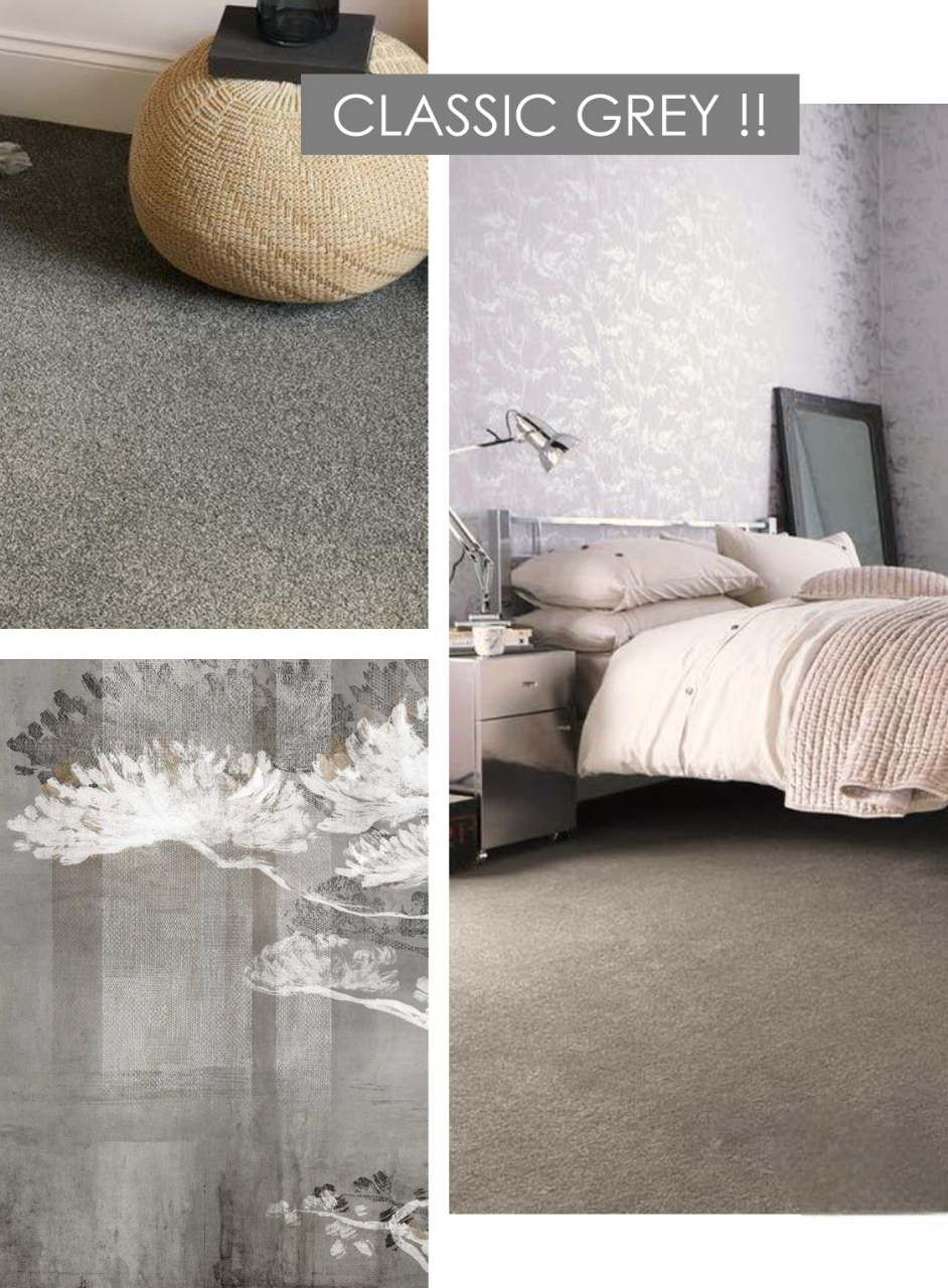 Hego Feather Wall To Wall Carpet | Cozy Classic Grey | Ultra-Soft Cut Pile Carpet | Enera