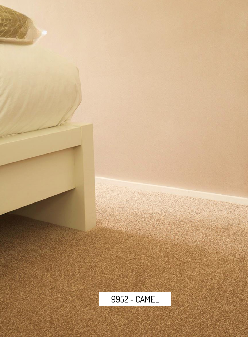 Hego Shine Wall Carpet | Camel | Ultra Soft Cut Pile Carpet | Enera