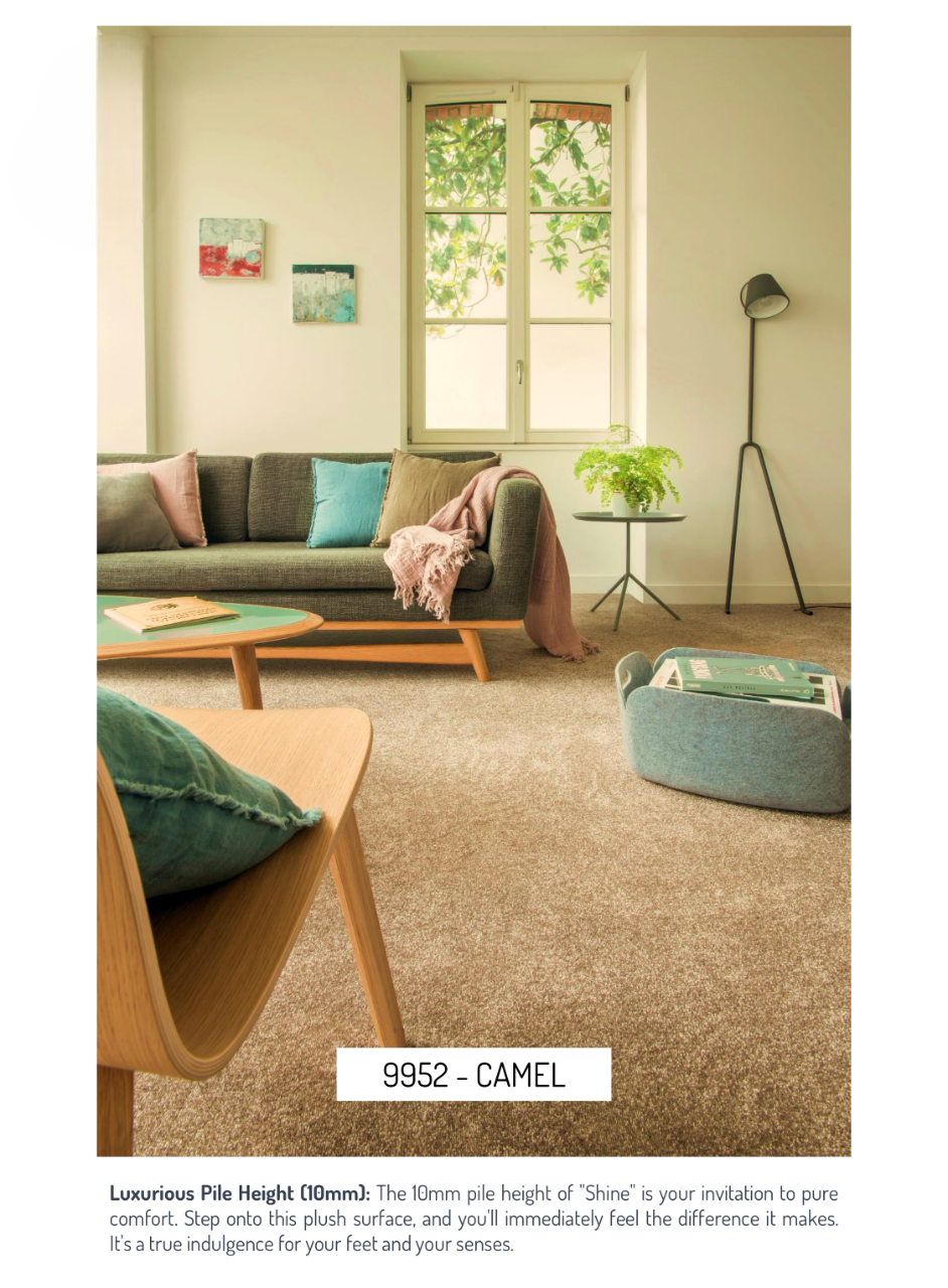 Hego Shine Wall Carpet | Camel | Ultra Soft Cut Pile Carpet | Enera