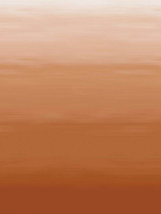 D'Decor Esteem Collection Balayage-Burnt Sienna Color Plain King Size double Bedsheet with 2 pillow covers - enera