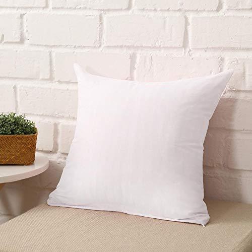 Enera Premium Polyester Fibre White (16 x 16 Inch) Cushion Fillers - Pack of 1 Pcs - enera