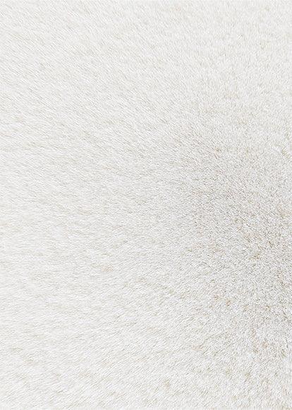 Enera New Oslo Collection White 120x170 cm Carpet - enera