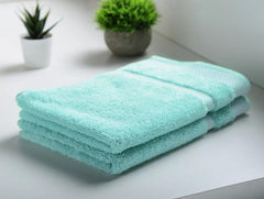Enera Innovations Hygro Aqua Color Hand Towel - enera