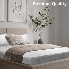 Enera Vibrant Hues Collection Roebuck Color King Size Bedsheet - enera