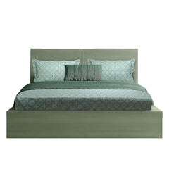 Enera Vibrant Hues Collection Green Color King Size Bedsheet - enera