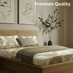 Enera Vibrant Hues Collection Olive Color King Size Bedsheet - enera