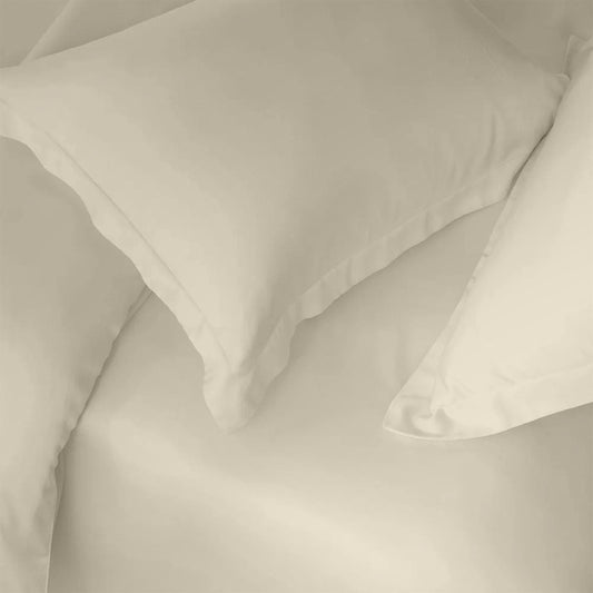 Enera Charm Collection Ivory Cream Color Plain King Size Double Bedsheet - enera
