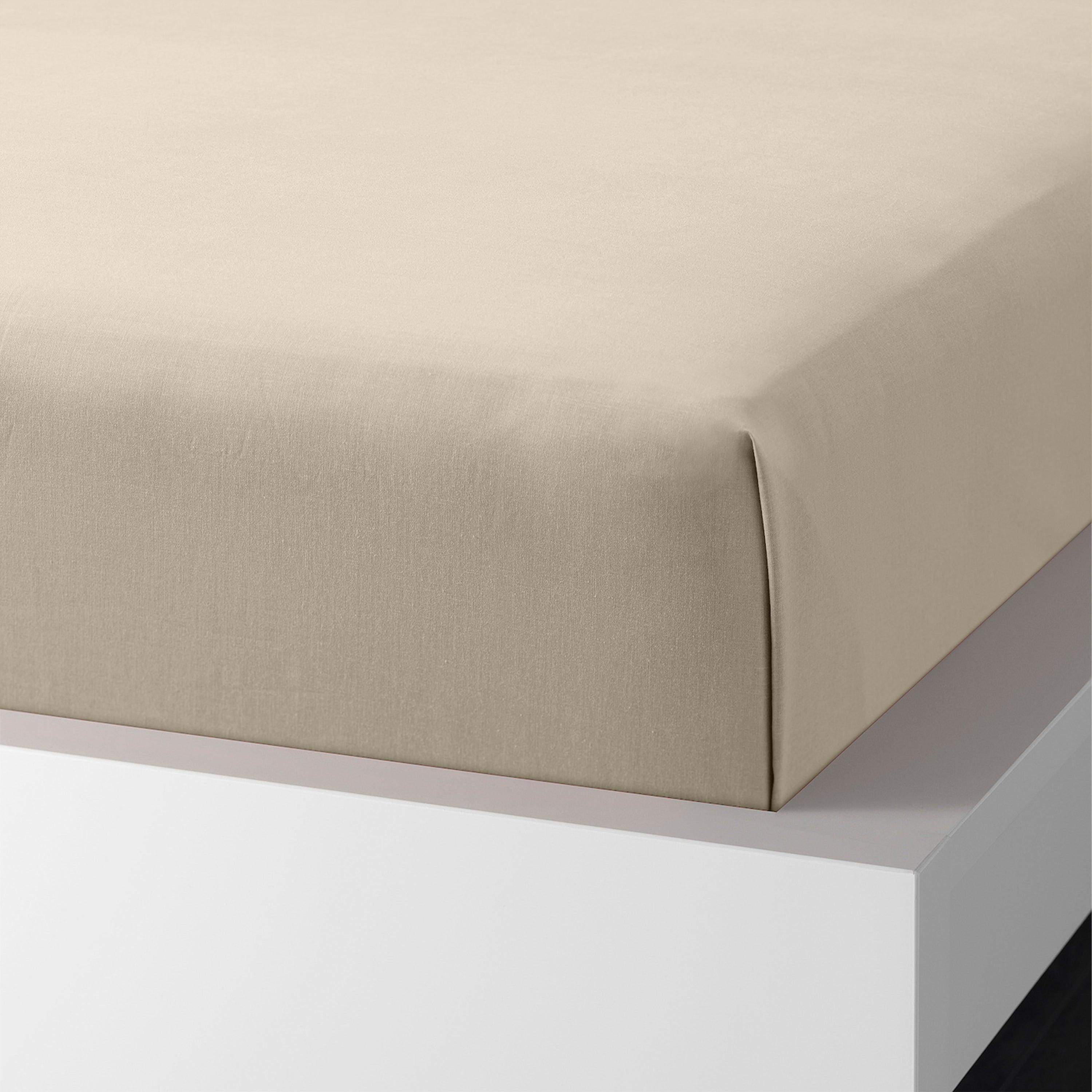Enera Charm Collection Ivory Cream Color Plain King Size Bedsheet-600 TC(100% Cotton) - enera