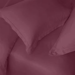 Enera Charm Collection Mocha Blush Color Plain King Size Bedsheet-600 TC(100% Cotton) - enera