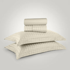 Enera Jacquard Edge Collection Ivory White Color King Size Bedsheet-300 TC(100% Cotton) - enera