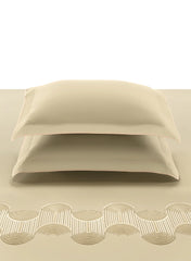 Charm Rainbow Trail Celadon 100% Cotton King Size Bedsheet Set with 2 Pillow Covers